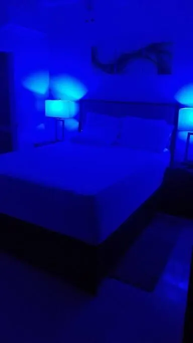 קינגסטון Ridgeview Suites 1 To 3 דירה